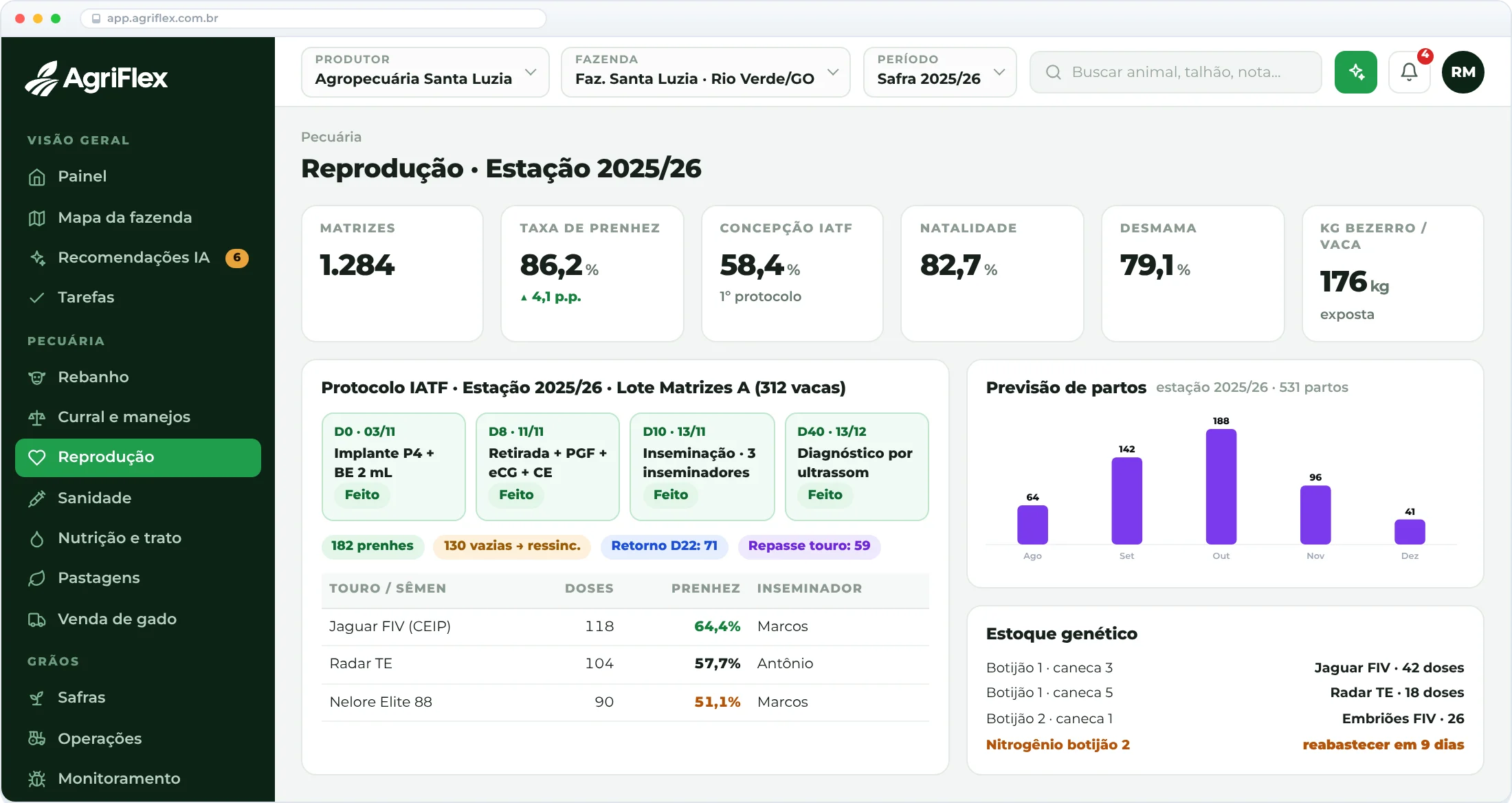 Estação de monta, IATF e bezerro no chão